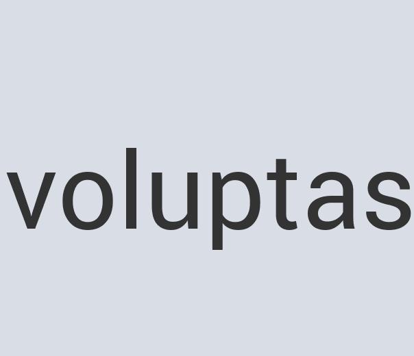 Heavy Duty Granite Road Rodent