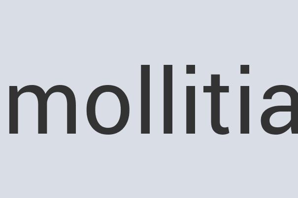 Enormous Wooden Solar Certain