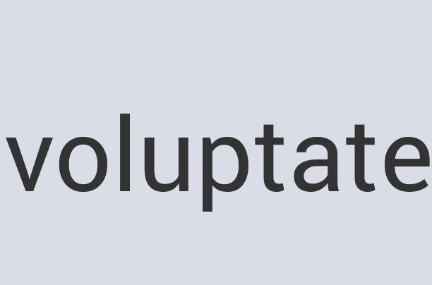 Durable Plastic QuickUps