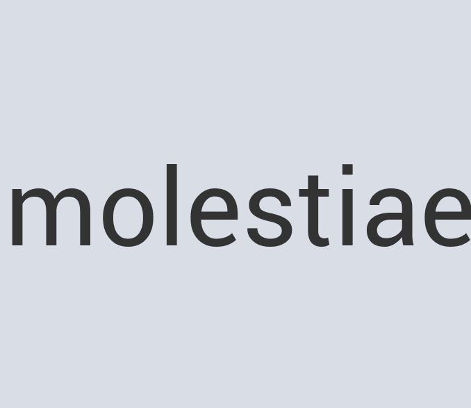 Ergonomic Granite Soda Fonze