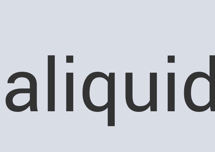 Aerodynamic Plastic Magnafone