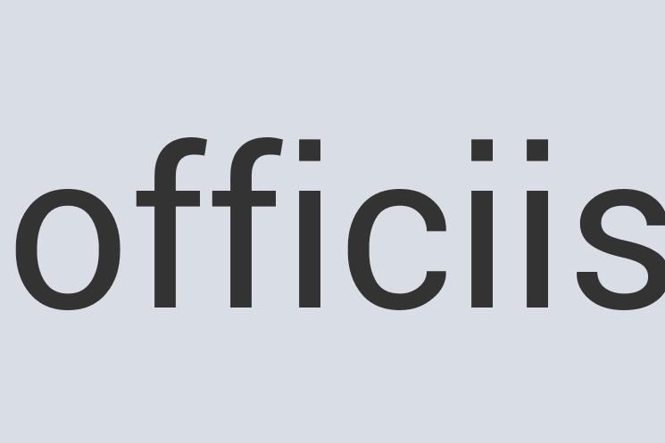 Small Leather Record Wizard