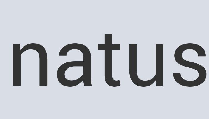 Gorgeous Plastic Rocko Blast