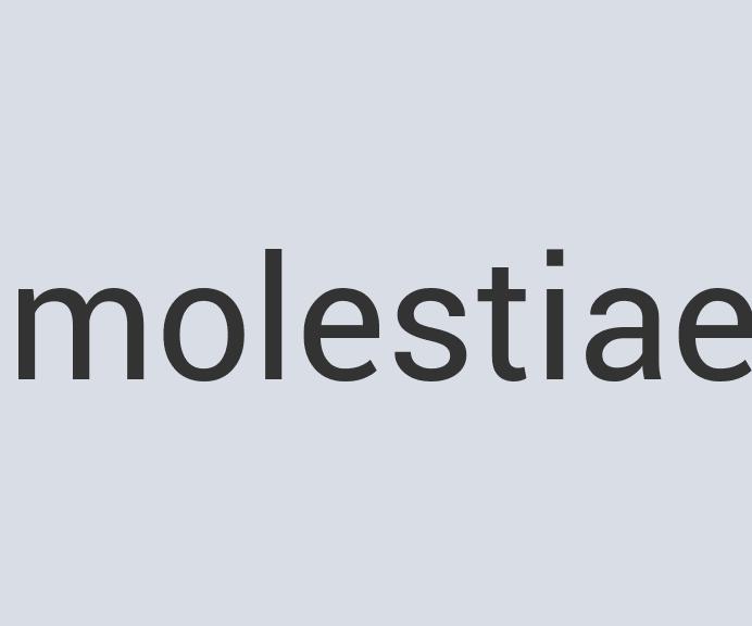 Awesome Wooden Virtual Rodeo