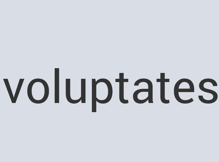 Ergonomic Aluminum Bull Throttle